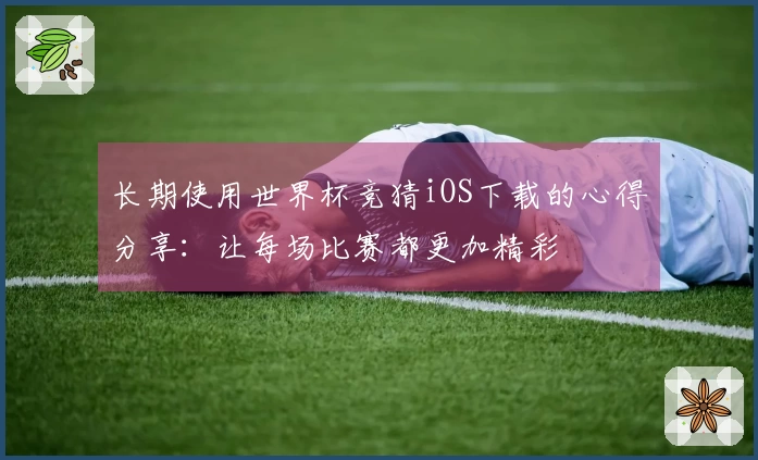 长期使用世界杯竞猜iOS下载的心得分享：让每场比赛都更加精彩