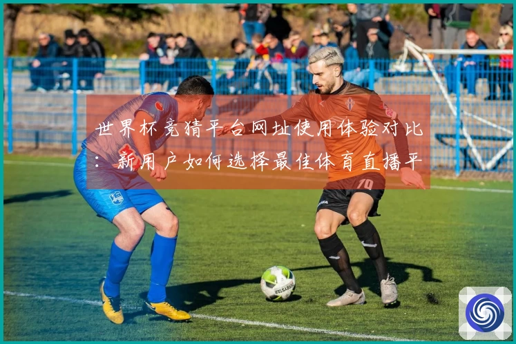 世界杯竞猜平台网址使用体验对比：新用户如何选择最佳体育直播平台？