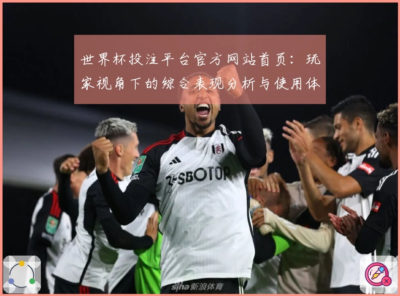 世界杯投注平台官方网站首页：玩家视角下的综合表现分析与使用体验分享