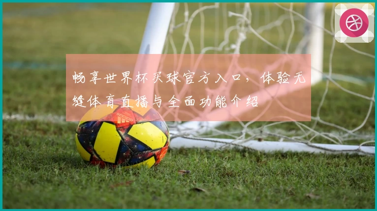 畅享世界杯买球官方入口，体验无缝体育直播与全面功能介绍
