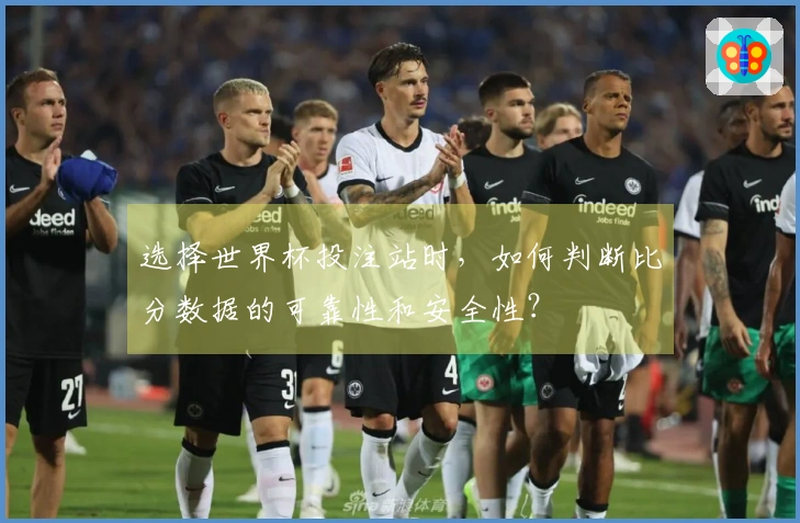 选择世界杯投注站时,如何判断比分数据的可靠性和安全性?
