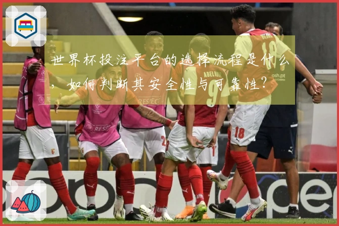 世界杯投注平台的选择流程是什么,如何判断其安全性与可靠性?