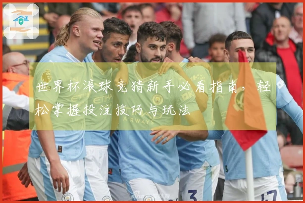 世界杯滚球竞猜新手必看指南,轻松掌握投注技巧与玩法