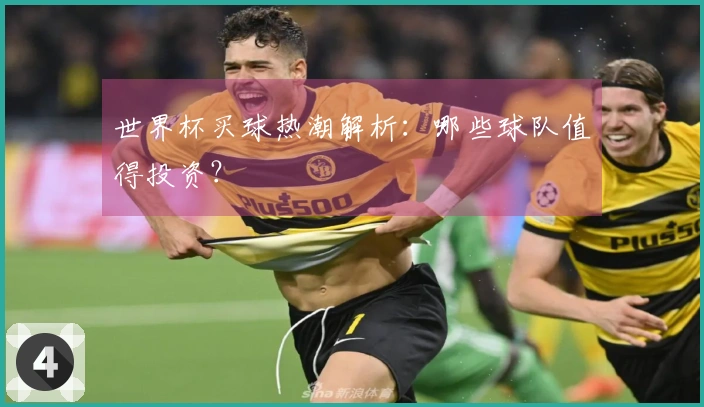 世界杯买球热潮解析：哪些球队值得投资？