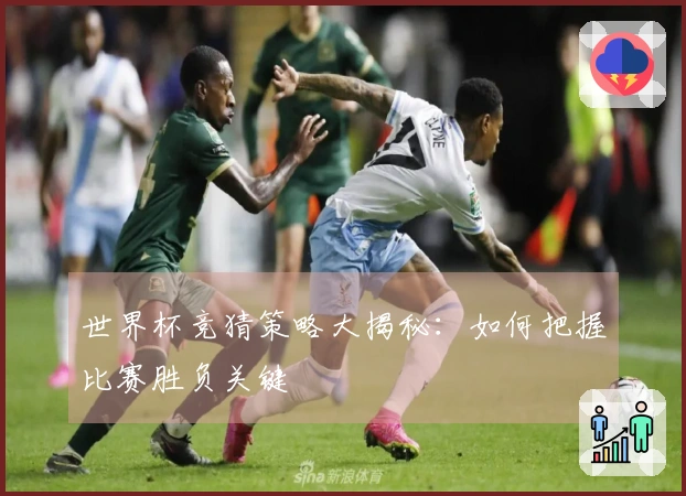 世界杯竞猜策略大揭秘:如何把握比赛胜负关键