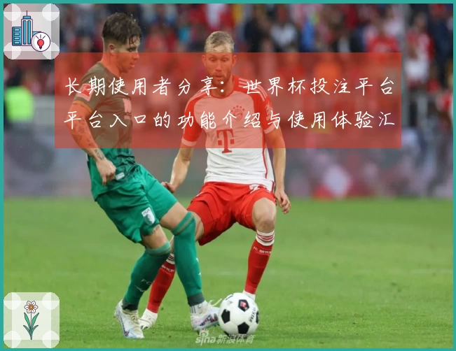 长期使用者分享：世界杯投注平台平台入口的功能介绍与使用体验汇总