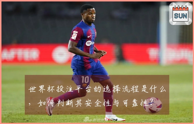 世界杯投注平台的选择流程是什么，如何判断其安全性与可靠性？